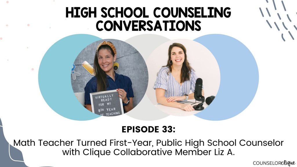 public high school counselor